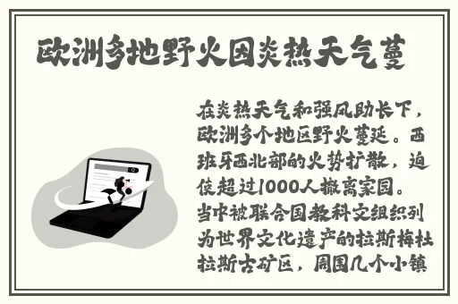 99e热在这里只有精品